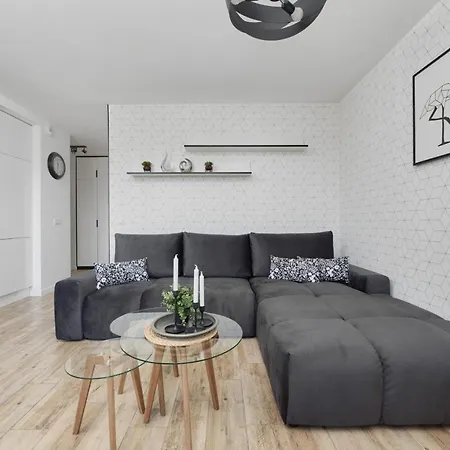 Chique For A Big Family With 2 Parking Spaces By Renters *