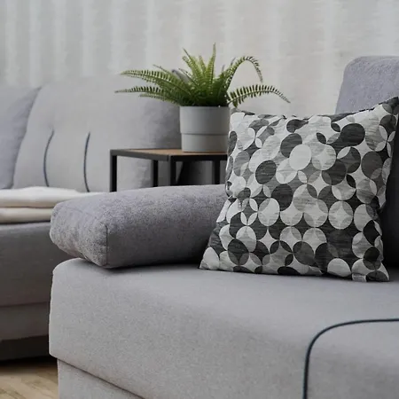 Chique For A Big Family With 2 Parking Spaces By Renters Appartement